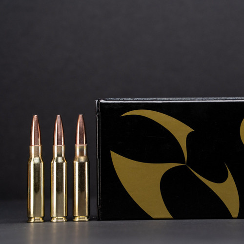 308 Win 145gr Barrier Blind Hollow Point with Alpha Munitions Brass 308 Win 145gr Barrier Blind Hollow Point with Alpha Munitions Brass