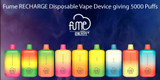 Fume RECHARGE Disposable Vape Device giving 5000 Puffs