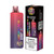 Rainbow Rapper Flavored Dummy Xfinity Disposable Vape Device – 6900 Puffs | evapekings.com