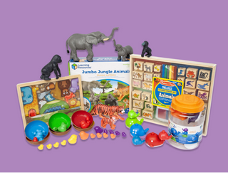 Baby Animals Toy Box