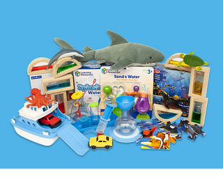 Photo Toy Box