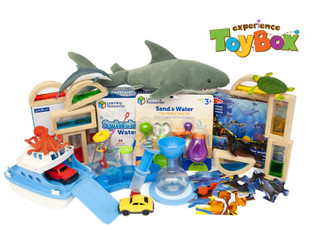 Toybox Subscription (3+ yrs)