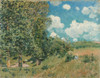 Art Prints of The Road from Versailles to Saint Germain by Alfred Sisley