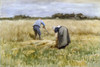 Art Prints of The Corn Harvest by Anton Mauve
