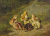 Art Prints of Baby Chicks by Arthur Fitzwilliam Tait