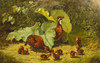 Art Prints of Quail and Young by Arthur Fitzwilliam Tait