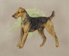 Art Prints of Airedale Terrier by Arthur Wardle