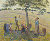 Art Prints of Apple Harvest by Camille Pissarro