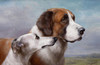 Art Prints of St. Bernard and Greyhound by Carl Reichert