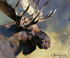 Art Prints of Moose Head II by Carl Rungius
