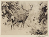 Art Prints of Mule Deer by Carl Rungius