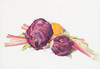 Art Prints of Red Cabbages, Rhubarb and Orange by Charles Demuth