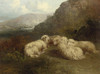 Art Prints of Sheep in a Mountainous Landscape by Edward Robert Smythe