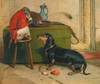 Art Prints of Ziva, Prince of Saxe Coburg Gotha's Dog by Edwin Henry Landseer