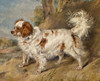 Art Prints of A Dog of the Marlborough Breed by Edwin Henry Landseer