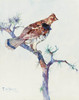 Art Prints of Grouse on a Pine Bough by Frank Weston Benson