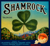 Art Prints of 020 Shamrock Valencias, Fruit Crate Labels