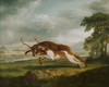 Art Prints of Hound Coursing a Stag by George Stubbs