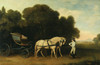 Art Prints of Phaeton with a Pair of Cream Ponies and a Stable Lad by George Stubbs