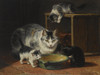 Art Prints of A Mother Cat and Two Kittens in a Kitchen by Henriette Ronner Knip