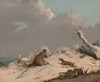 Art Prints of Duck Shooting, Winter by Henry Thomas Alken