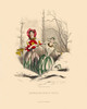 Art Prints of Primrose and Snowdrop by J. J. Grandville