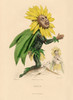 Art Prints of Sunflower by J. J. Grandville