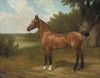 Art Prints of Lord Bingley's Hunter in a Wooded Landscape by Jacques-Laurent Agasse
