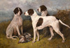 Art Prints of Ruby and Companions by John Emms