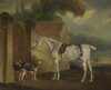 Art Prints of Lord Lonsdale's Grey Hunter Brass with Hounds by John Ferneley