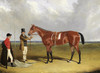 Art Prints of Bay mare Roselie by John Frederick Herring