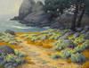 Art Prints of Yellow Wild Buckwheat at Point Lobos by John Marshall Gamble