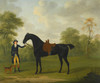 Art Prints of A Lady's Saddled Hunter held by a Groom by John Nost Sartorius