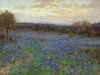 Art Prints of Field of Bluebonnets at Sunset by Julian Onderdonk