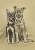 Art Prints of Julie and Sandy Alsatian Puppies by Lucy Dawson