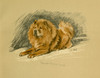 Art Prints of Red Prince of Wu Sung, Chow Chow, 2 by Lucy Dawson