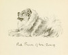 Art Prints of Red Prince of Wu Sung, Chow Chow, 3 by Lucy Dawson