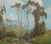 Art Prints of Eucalyptus in Laguna Beach by Marion Kavanaugh Wachtel