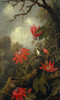 Art Prints of Hummingbird and Passion Flowers by Martin Johnson Heade