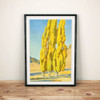 Framed print of Autumnal Poplars by Maynard Dixon