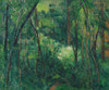 Art Prints of Interior of a Forest by Paul Cezanne