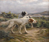 Art Prints of Leda and Another Setter in the Field by Percival Leonard Rosseau