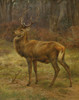 Art Prints of Stag in an Autumn Landscape by Rosa Bonheur