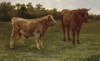 Art Prints of Two Cows Grazing by Rosa Bonheur