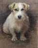 Art Prints of Portrait of a Terrier by Samuel Fulton