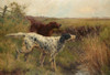 Art Prints of An English and Irish Setter in a Landscape by Thomas Blinks