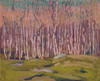 Art Prints of Silver Birches by Tom Thomson