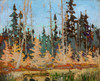 Art Prints of Spruce and Tamarack by Tom Thomson