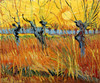 Art Prints of Pollard Willows with Setting Sun by Vincent Van Gogh