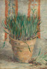 Art Prints of Flowerpot with Garlic Chives by Vincent Van Gogh